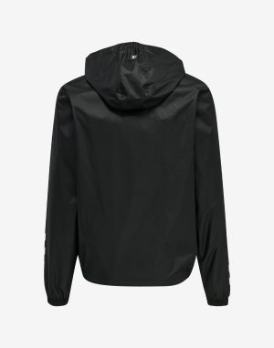 Alternative view of Vėjastriukė